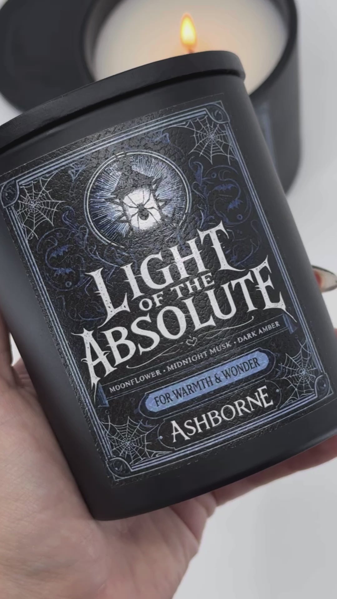 Light of the Absolute